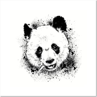 Giant Panda Animal Wildlife Forest Nature Bamboo Adventure Graphic Posters and Art